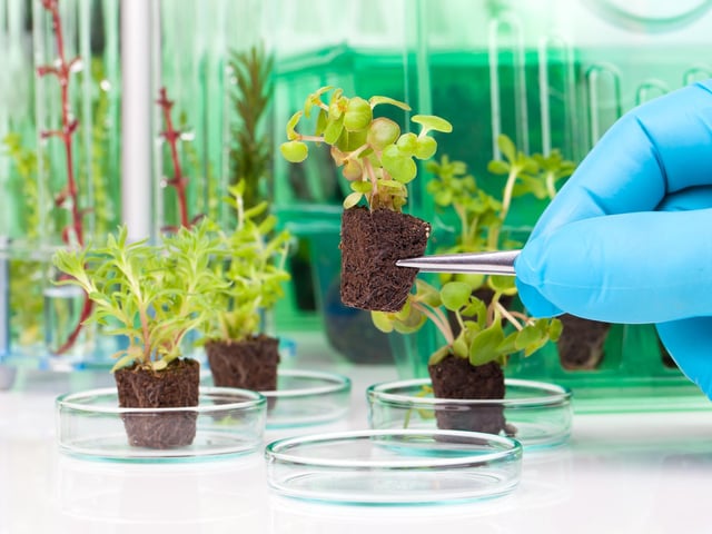 Farmers will use technology to raise carefully engineered crops. The future of farming is also set to become vertical as creating these spaces in urban areas will help bosst food supply.