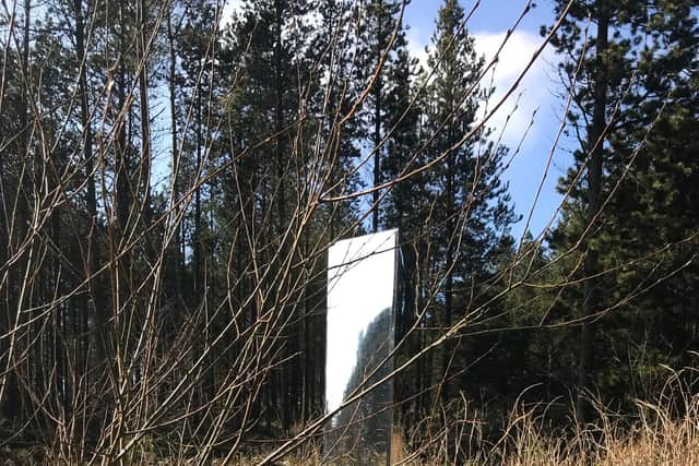 A mysterious metal monolith has appeared at Lady Canning's Plantation. Picture: Jonathan Skull
