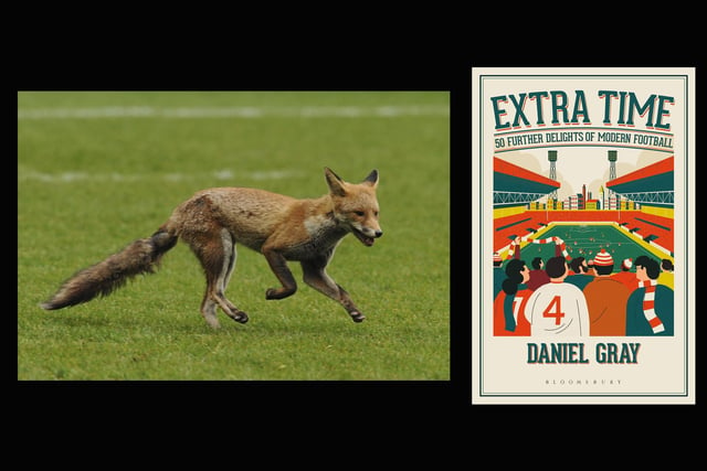 Daniel Gray's paean to football comes in the form of 50 beautifully written vignettes which celebrate the game's fun and foibles. From the roar after a minute's silence to animals who invade the pitch, Gray sifts through the matchday minutiae to produce delightful snapshots. Especially poignant in the continued absence of fans.