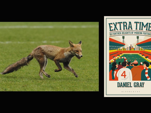 Daniel Gray's paean to football comes in the form of 50 beautifully written vignettes which celebrate the game's fun and foibles. From the roar after a minute's silence to animals who invade the pitch, Gray sifts through the matchday minutiae to produce delightful snapshots. Especially poignant in the continued absence of fans.