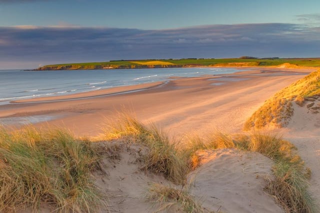 Lunan Bay offers a secluded spot on the Angus coastline, backed by sand dunes and low cliffs. The ruins of Red Castle, which dates back to the 12th century, overlooks Lunan Bay (Photo: Shutterstock)