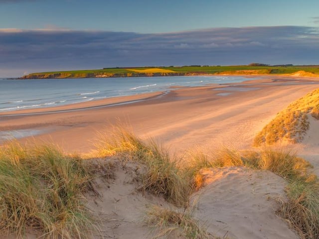 Lunan Bay offers a secluded spot on the Angus coastline, backed by sand dunes and low cliffs. The ruins of Red Castle, which dates back to the 12th century, overlooks Lunan Bay (Photo: Shutterstock)