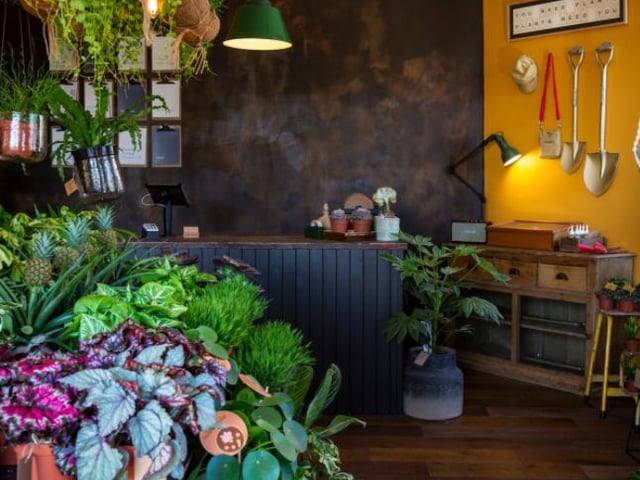 This Fountainbridge plant shop has been a hit with Edinburgh's plant parents ever since it opened in 2019, presenting an astonishing range of exotic houseplant specimens in the form of succulents, trailing forest cacti and large leafy calatheas. Serving delicious coffee too, grow urban has become a much-loved spot for plant lovers looking for a cosy spot for some houseplant shopping.

92 Grove St, Edinburgh EH3 8AP
