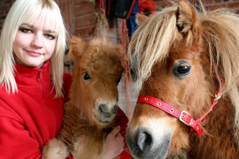 Lauren Smith of St Bernard's Animal Sanctuary with a foal born to 'past-it' horse in 2007.