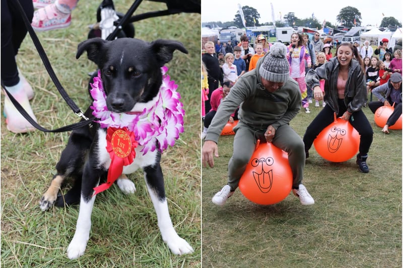 Left, the Mighty Dub Fest Dog Show winner; and right, campers enjoy family games.