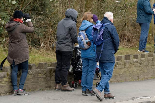 Passers by stop to look and take pictures of the Lydgate Lane owl. Picture: Dean Atkins
