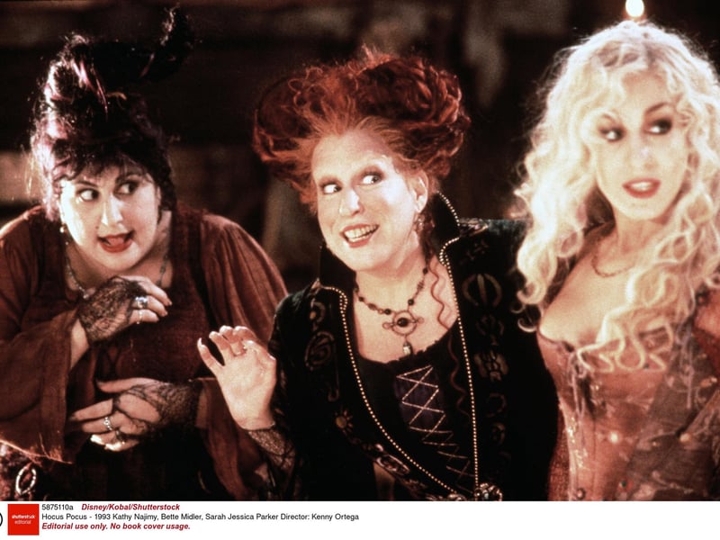 A cult classic fantasy comedy that has become a Halloween staple. It follows a teenage boy named Max who, after moving to Salem, Massachusetts, accidentally resurrects three witch sisters – Winifred, Sarah, and Mary Sanderson – who were executed in the 17th century. The witches aim to achieve immortality by draining the life force of children, and Max must stop them before sunrise on Halloween.