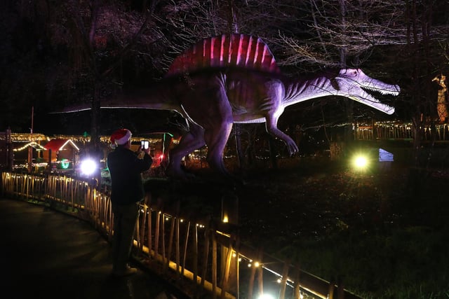 Visitors to Blair Drummond Safari Park near Stirling, Scotland, enjoy the illuminations installed in the Safari Park's new 'World of Dinosaur' exhibit.