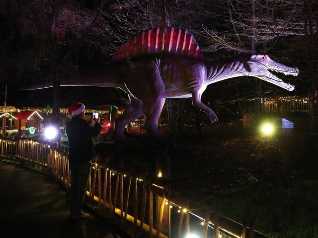 Visitors to Blair Drummond Safari Park near Stirling, Scotland, enjoy the illuminations installed in the Safari Park's new 'World of Dinosaur' exhibit.