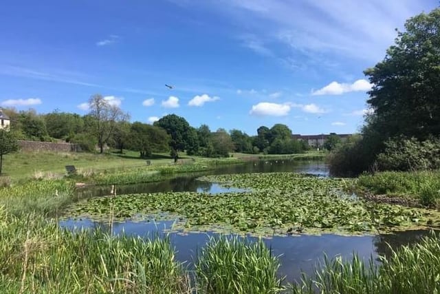 One of the prettiest ponds in Glasgow can be found in Auchinlea Park, just over the road from the Fort Shopping Centre.