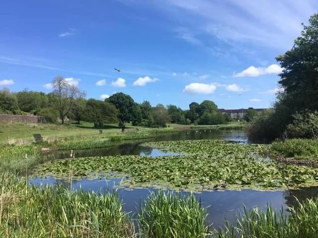 One of the prettiest ponds in Glasgow can be found in Auchinlea Park, just over the road from the Fort Shopping Centre.