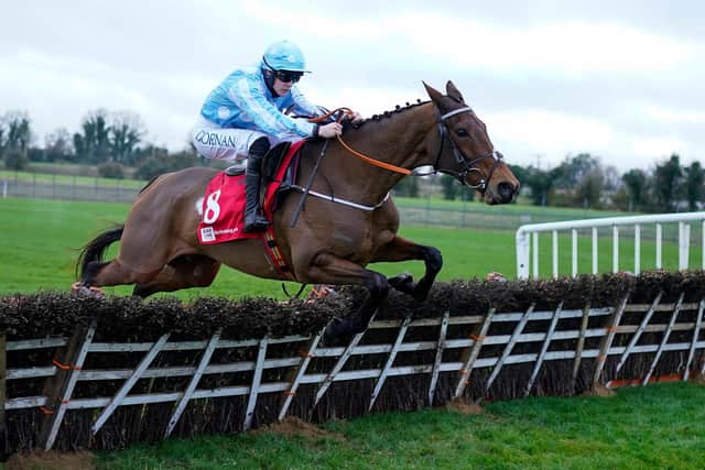 The marvellous mare Honeysuckle, who is unbeaten 14 races, will bid to win the Unibet Champion Hurdle for the second season running. (PHOTO BY: Alan Crowhurst/Getty Images)