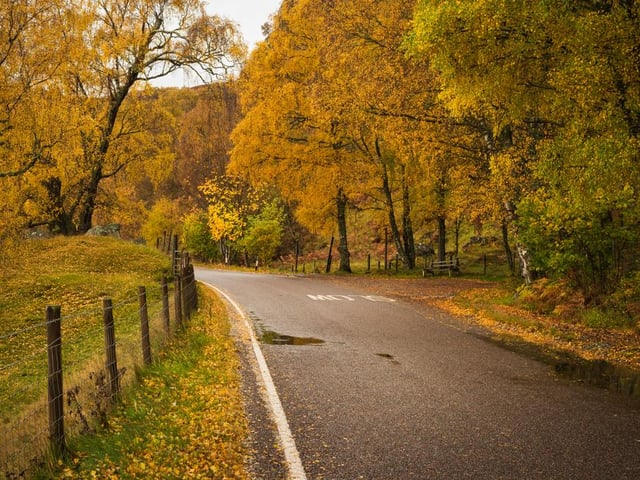 Newtonmore also proved popular, with an annual increase in sales searches of 32.2 per cent.