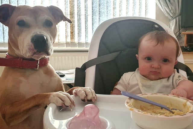 Molly Kate Hanrahan shared a photo of her dog Rosie with her daughter Ivy. They are the best of friends.