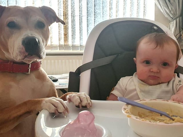 Molly Kate Hanrahan shared a photo of her dog Rosie with her daughter Ivy. They are the best of friends.