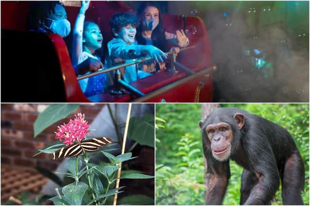 Great days out for the family at Alton Towers (photo: Daniel Lewis), Twycross Zoo (photo: Shutterstock/Crystal Alba) and Tropical Butterfly House.