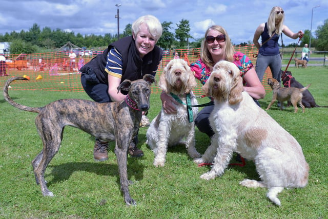 Diane Dignen (left) with her lurcher Poppy and Beverley Nicholson with her Italian Spinone dogs Lilly (centre) and Daisey at 2014's Dogs Day Out. Picture by FRANK REID