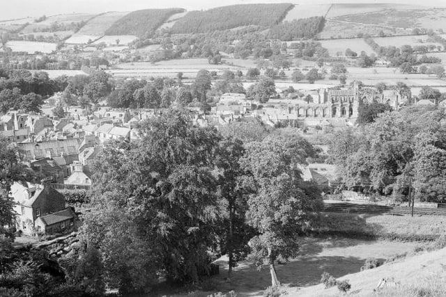 Dryburgh Abbey, July 1953.