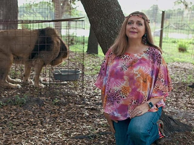Tiger King was another viral Netflix sensation that everyone was talking about in the spring. For a Carole Baskin inspired costume, all you need is a pair of blue jeans, a bright floral top and a flower crown.