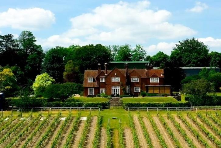 Established in 1952 by Major-General Sir Guy Salisbury-Jones, Hambledon Vineyard is England's oldest commercial vineyard. The venue has been recognised in this year's Michelin Guide. 



Picture: Hambledon Vineyard