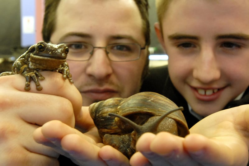 Hebburn School pupil Ryan McElwee was having a great time in 2006. He got to hold a South American tree frog and a Giant African Snail.