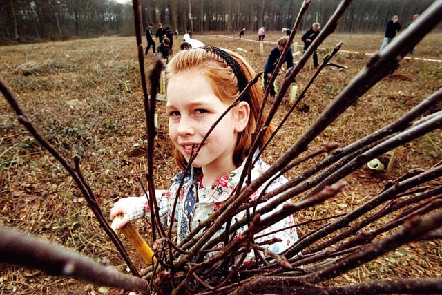 10-year-old Junior Ranger, Katie Varga of Wheatley nr.  Doncaster, prepares to join collegues during the planting of 1800 trees at Melton Woods in 2000