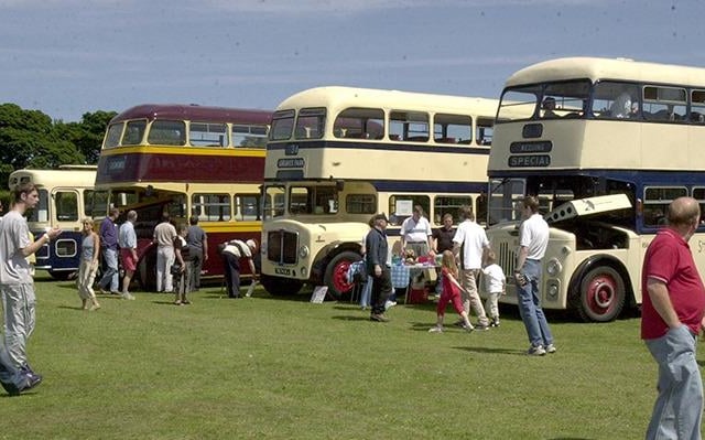 Some of the buses at the Festival of Transport held at Graves Park, Sheffield, June 29, 2003