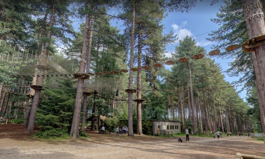 Go Ape Sherwood.