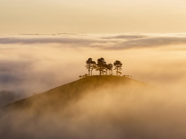 Misty Sunrise, Colmer's Hill Dorset, England.