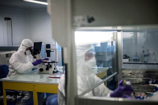 Scientists are at work in the VirPath university laboratory (Photo by JEFF PACHOUD/AFP via Getty Images)
