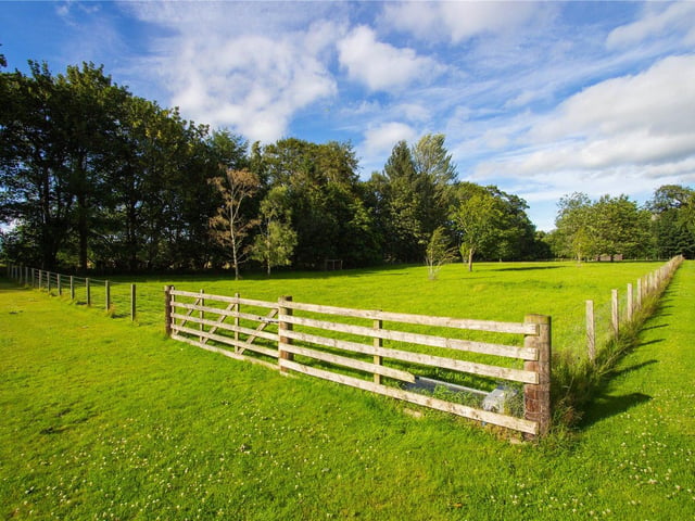 Paddocks.