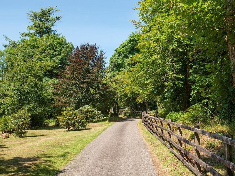 Driveway.