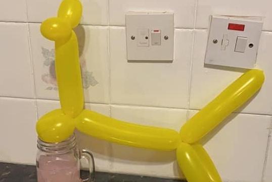 After 'countless tears and meltdowns' trying to teach them times tables, Rachael Lewis instead showed her children how to make a balloon dog.Yes, that is a mug of gin.