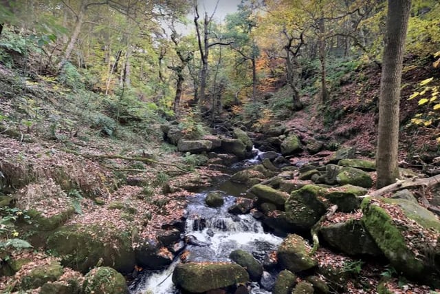 Take a trip out to Padley Gorge where you can find a 4.7 kilometre loop trail located near Hope.