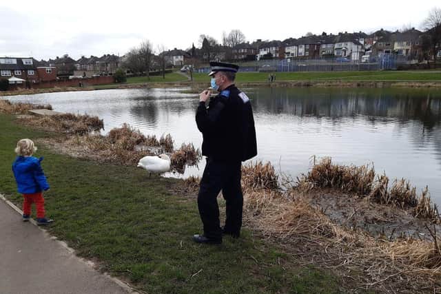 Police officers have received a number of reports of yobs attacking swans on a pond in Sheffield