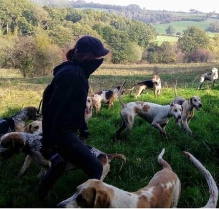 Zeb with the Middleton hunt hounds.