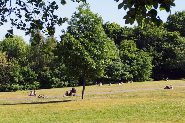 Meersbrook park provides some excellent green spaces with amazing views large enough to fit plenty of people enjoying their picnics.