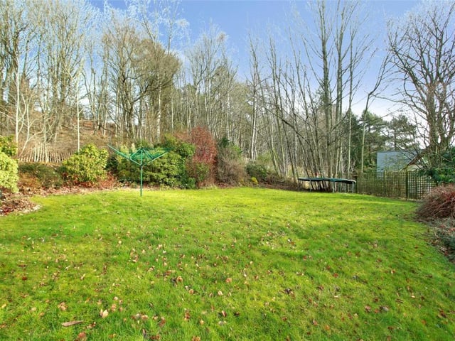 Garden.
