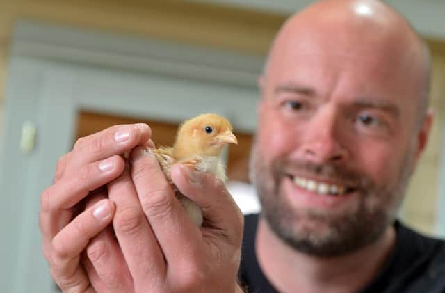 Marketing manager Anthony Moore, AKA Farmer Ant, holding one of the new baby chicks