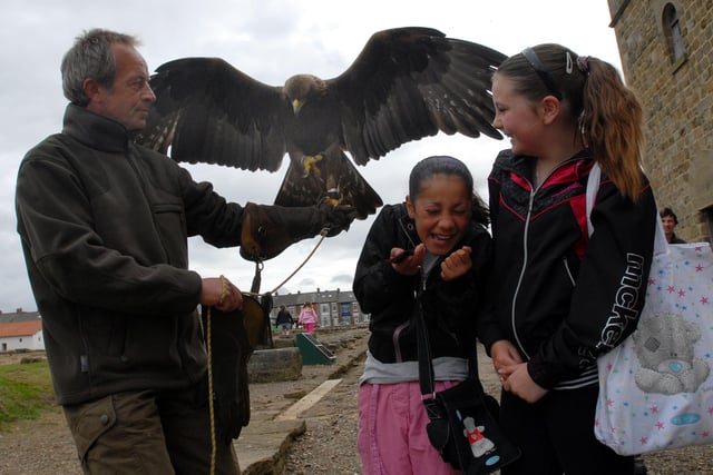 Did you get to meet Jack the Golden Eagle at Arbeia in 2009?