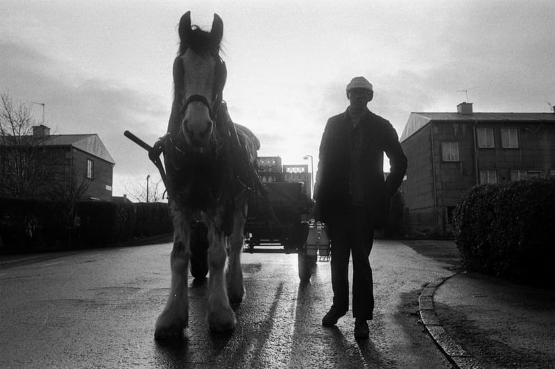 St Cuthberts Co-op milkman Ronnie O'Connor and his milk horse Ben on their roundsas the sunrises over Edinburgh, January 1984