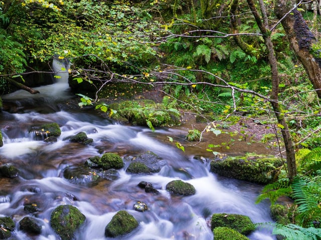 Venture deep into woodland in the shadow of the Ochils, with the tumbling waterfalls of the Burns of Care and Sorrow stirring the imagination, as do the ruins of the 15th Century Castle Campbell. PIC: VisitScotland.