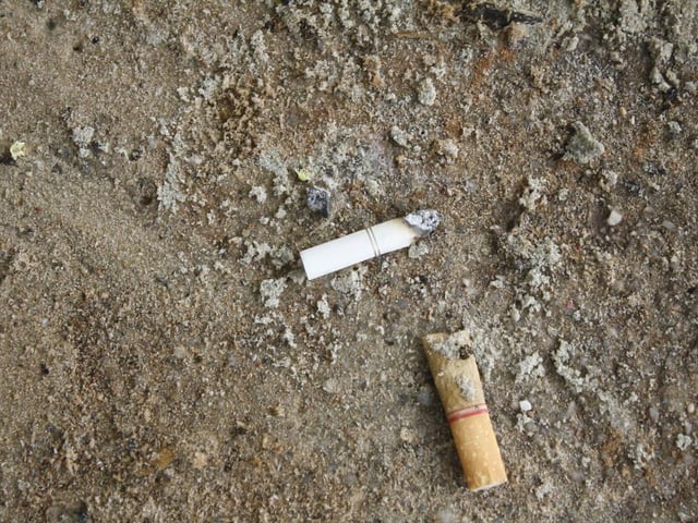 The Blue Cross explains that nicotine is toxic to dogs, and cigarette butts are especially dangerous. Nicotine replacement patches and e-cigarette refills can also pose a risk. Symptoms of poisoning include vomiting, excess saliva and hypertension (Photo: Shutterstock)