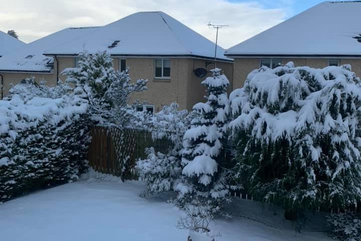 Snow from rooftops to the garden ... (Picture: Rima Harley)