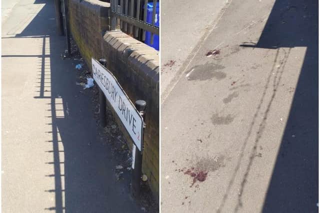 Bloodstains can be seen on Daresbury Drive