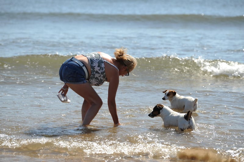 Clare Gray with dogs Reggie and Ronnie down in the surf at Seaburn.