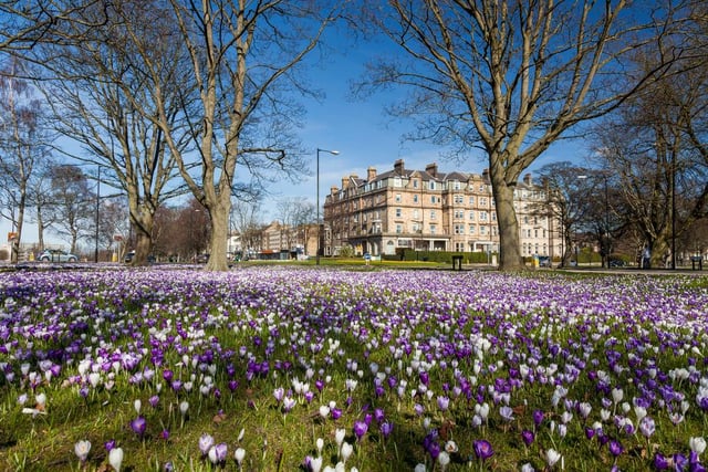 The town of Harrogate boasts large Victorian and Edwardian homes, which are closely surrounded by the 200 acre Harrogate Stray and the scenic North Yorkshire countryside. The average price of property in Harrogate is 356,233 GBP (Photo: Shutterstock)