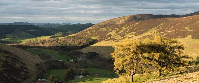 Located on Birthwood Farm, this is one of the most sought-after cottages in the south of Scotland. Standing on it's own in glorious hill country, it sits beside a very quiet farm road that leads only to a beautiful reservoir.