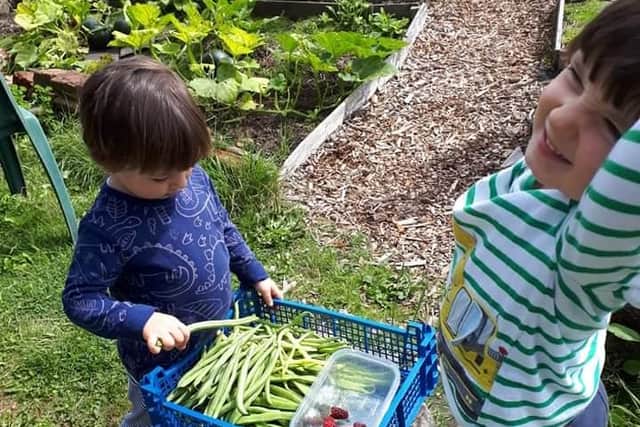 Robin and Theo helping out on their grandparents' Meersbrook allotment.
