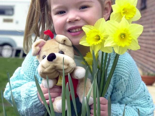 Shayle Hutchinson, aged four, of Askern, with an Easter Bunny and a handful of daffodils back in 2002